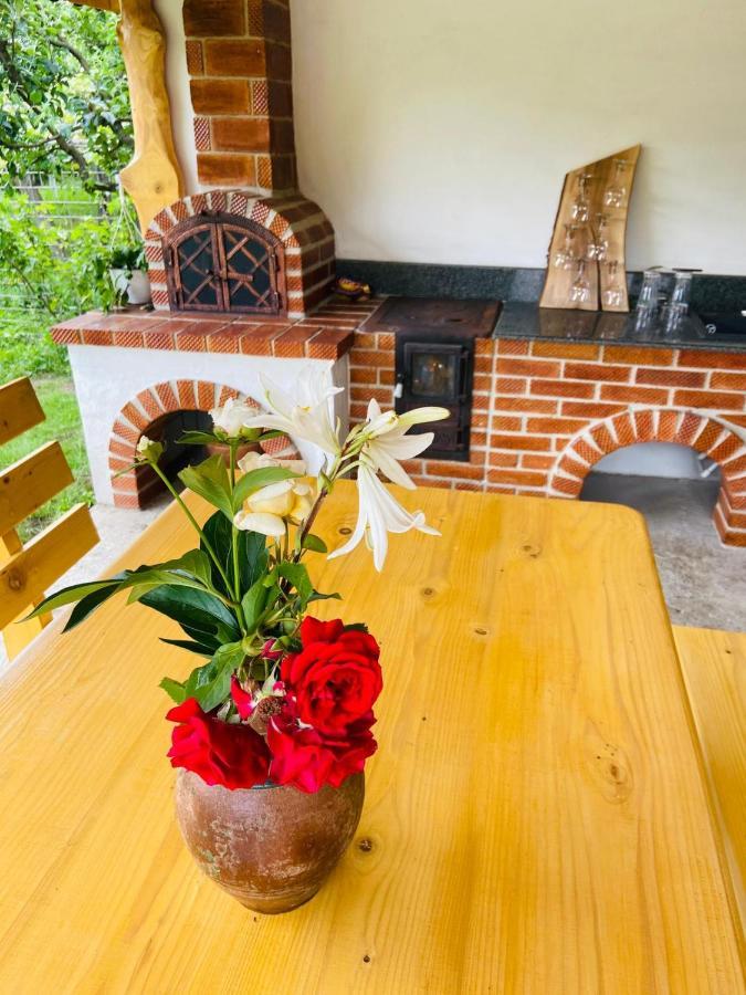 Casa De Vacanta Motata Novaci-Străini Extérieur photo